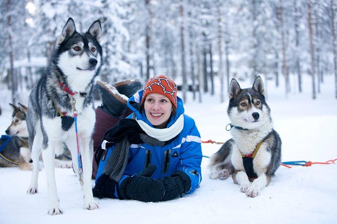 husky-safari-from-rovaniemi-including-a-husky-sled-ride