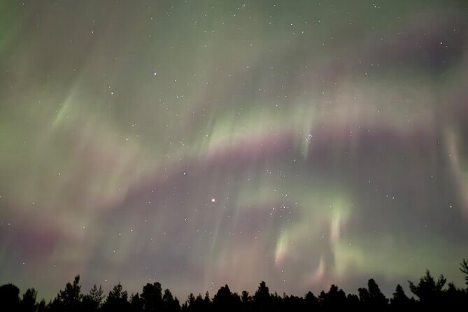 Husky Sled Ride Northern Lights Tour from Kiruna - Group Size and Booking