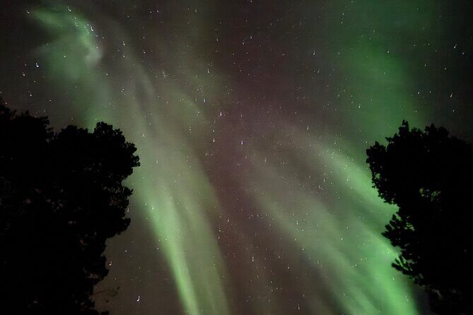 Husky Sled Ride Northern Lights Tour from Kiruna - Real-Life Insights from Travelers