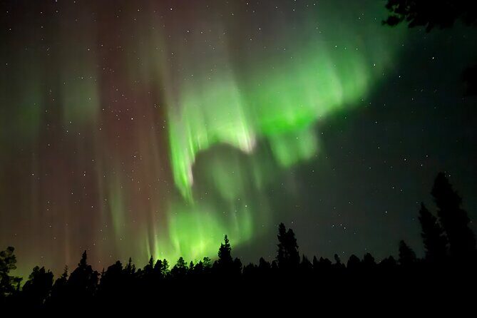 Husky Sled Ride Northern Lights Tour from Kiruna - Final Thoughts: Is This Tour Right for You?