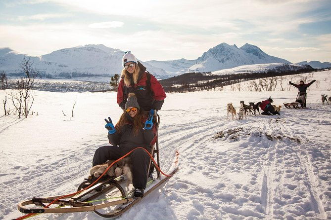 husky-sledding-self-drive-adventure-in-tromso