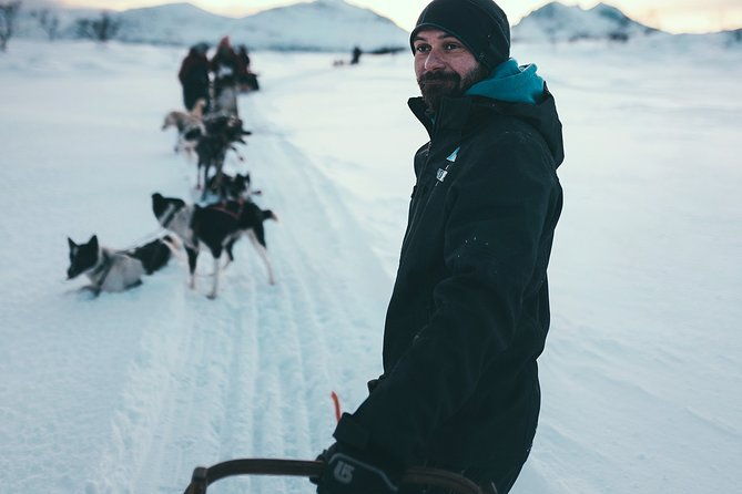 husky-sledding-self-drive-adventure-in-tromso