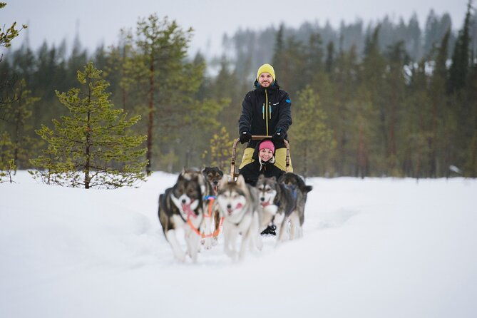 husky-sledding-self-driving-in-rovaniemi