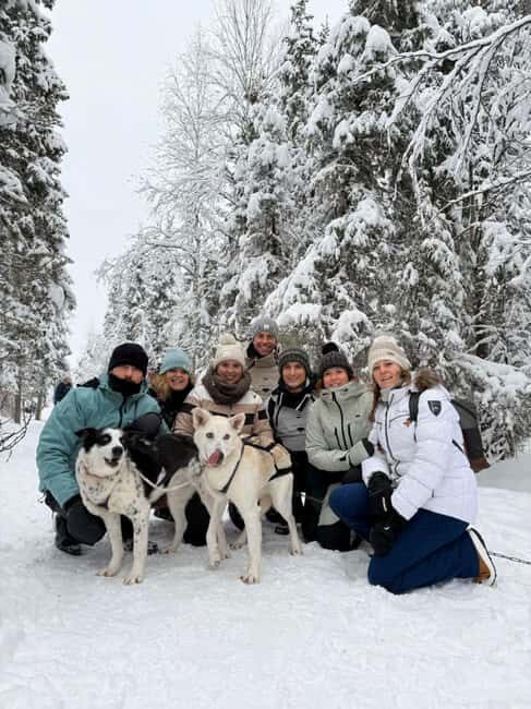 Husky Tour Experience in Levi - What Makes This Husky Sledding Tour Stand Out?