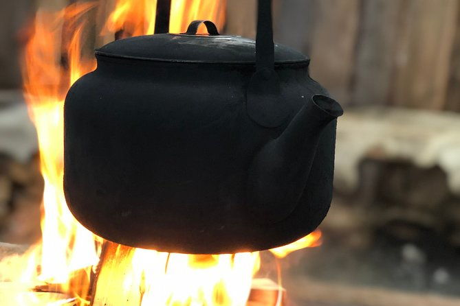 husky-tour-sit-and-drive-combo-tour-from-kiruna