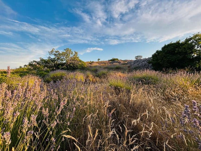 Hvar: Hidden Gems Tour - An In-Depth Look at the Hvar Hidden Gems Tour