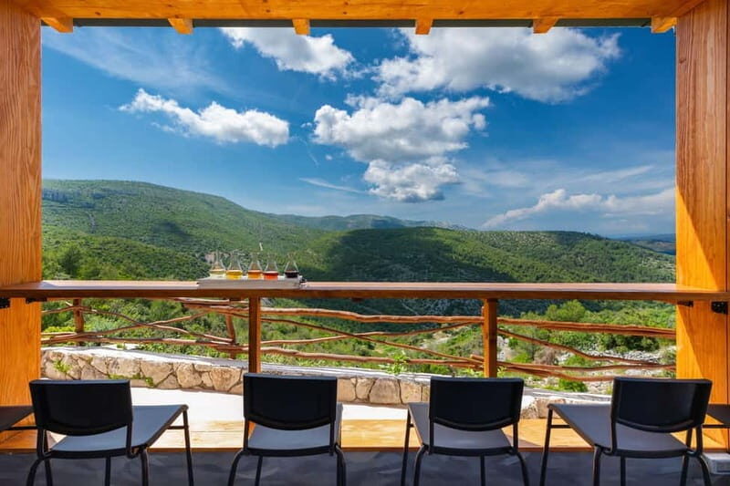 Hvar Island E-Bike Tour with Wine Tasting and Starters - Who Will Love This Tour?