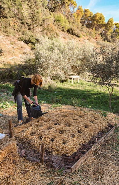 hvar-island-farm-to-table-feast-in-olive-garden