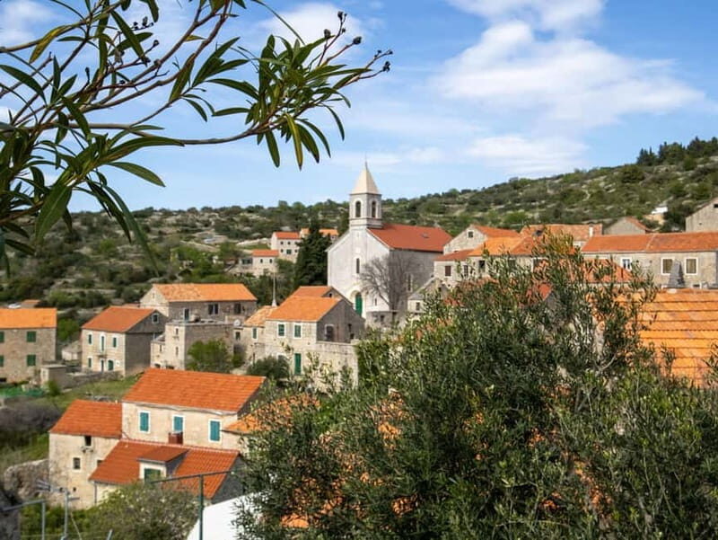 Hvar: Lavender Fields, Honey, and Local Product Tasting - A Closer Look at the Hvar Lavender, Honey, and Local Product Tour