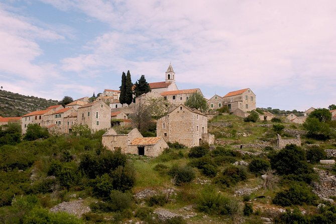 hvar-lavender-tour