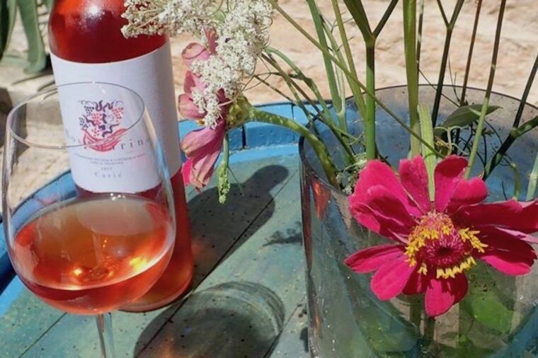 hvar-wine-lovers-tour-to-3-wineries-with-local-tastings