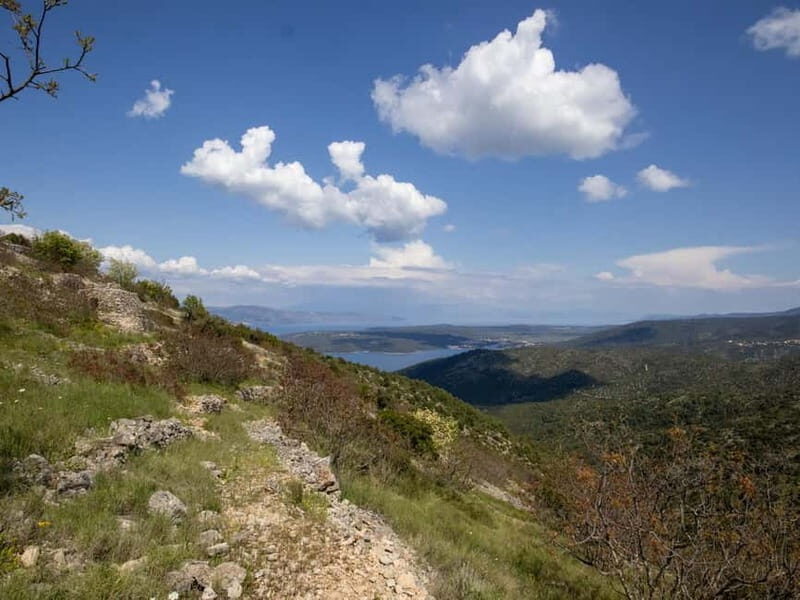 Hvar: Wine Tasting Tour and Island Sightseeing - The Sum Up