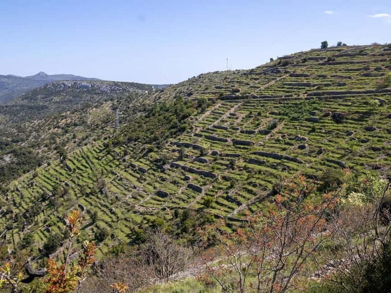Hvar: Wine Tasting Tour and Island Sightseeing - FAQ