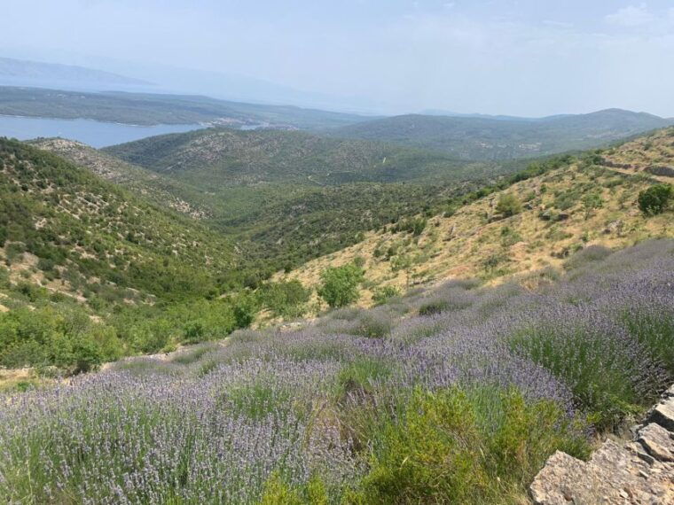 hvar-wine-tour-dalmatian-dinner