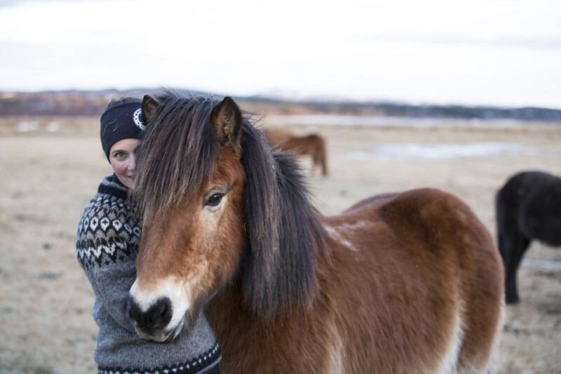 hveragerdi-countryside-charm-horse-riding-tour