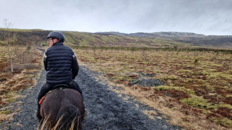 hveragerdi-horseback-riding-tour-for-beginners-and