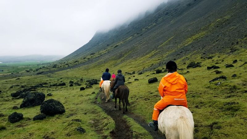 hveragerdi-reykjadalur-hotspring-valley-horse-riding-tour