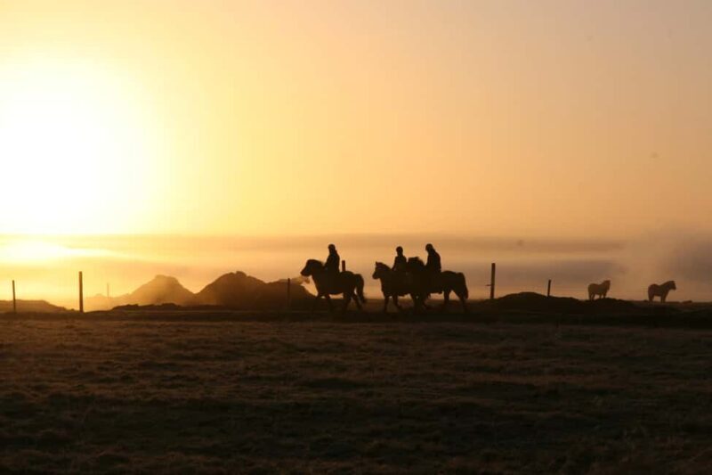 Hveragerdi: The Siggi Horse Riding Tour - An In-Depth Look at the Siggi Horse Riding Tour