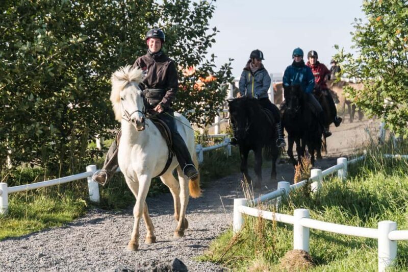 Hveragerdi: The Siggi Horse Riding Tour - The Sum Up