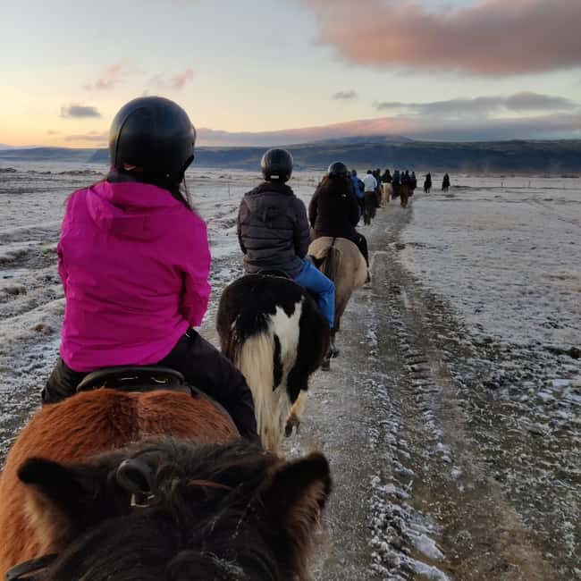 Hveragerdi: The Siggi Horse Riding Tour - FAQs