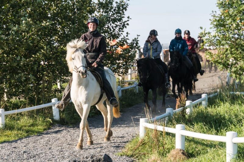 hveragerdi-the-siggi-horse-riding-tour
