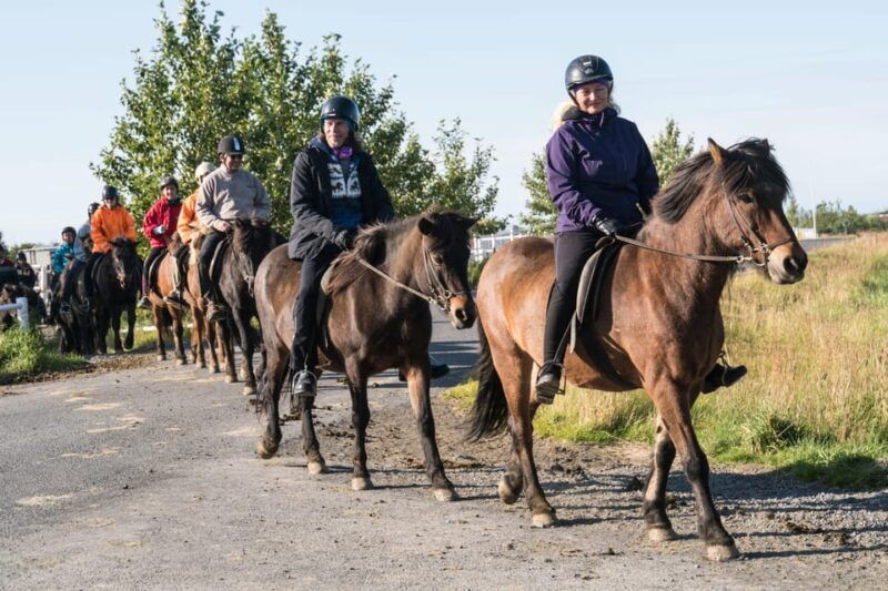 hveragerdi-the-siggi-horse-riding-tour