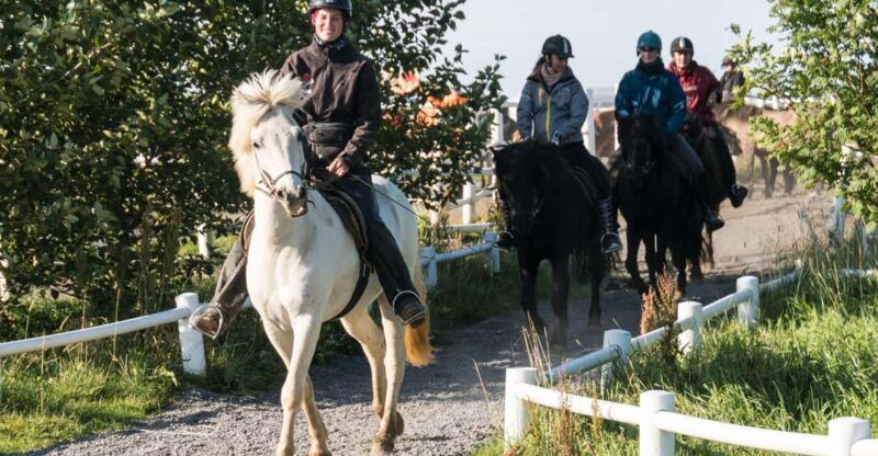 hveragerdi-the-siggi-horse-riding-tour