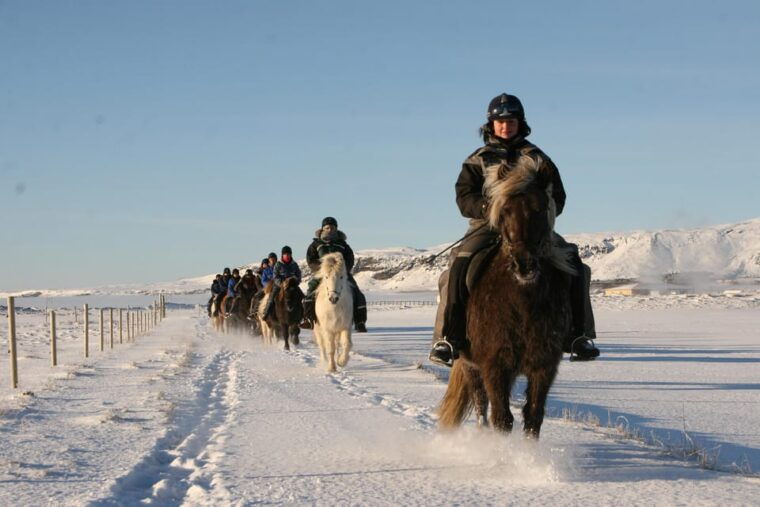 hveragerdi-the-siggi-horse-riding-tour