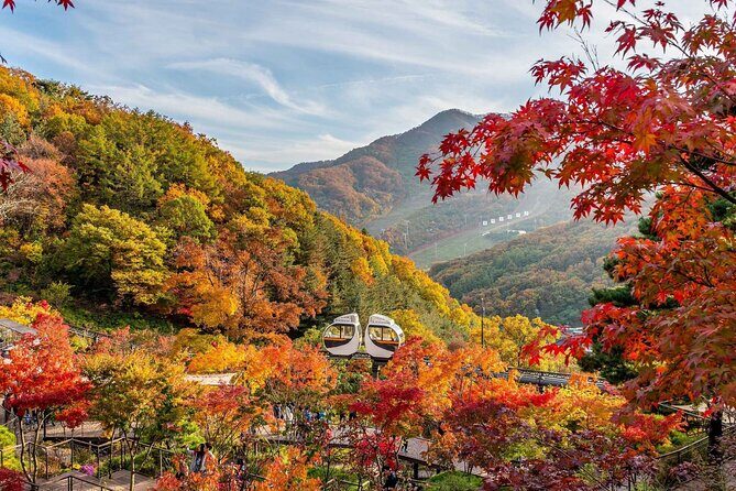 Hwadam Botanic Garden and Namhansanseong and Folk Village Trip - Key Points