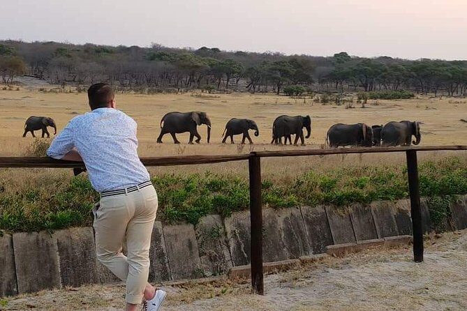 Hwange 3 day Safari - What to Expect from the Hwange 3 Day Safari