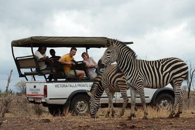 Hwange Day Trip - Who Will Love This Tour?