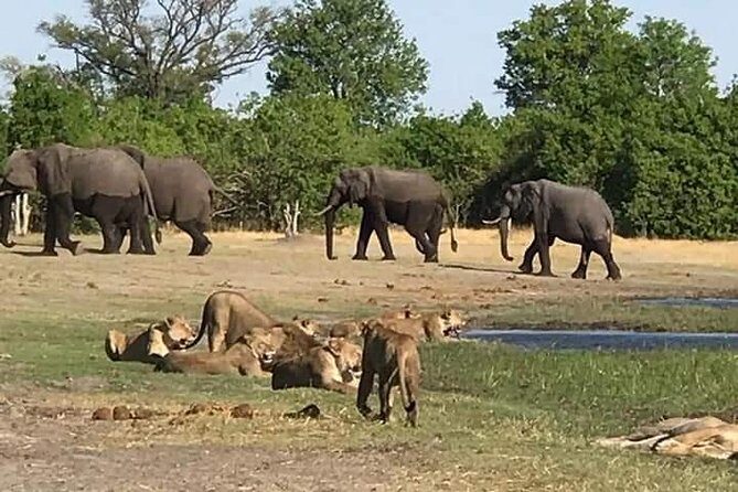 Hwange Day Trip - The Sum Up