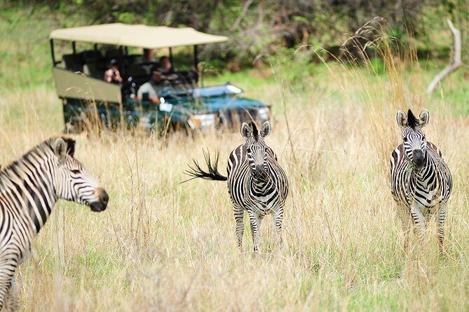 Hwange Day Trip - Key Points