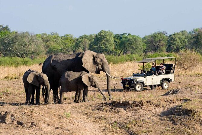 Hwange Day Trip - Detailed Breakdown of the Itinerary
