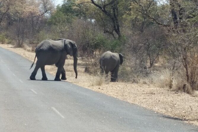 Hwange National Park 3 Days Package - The Itinerary in Detail