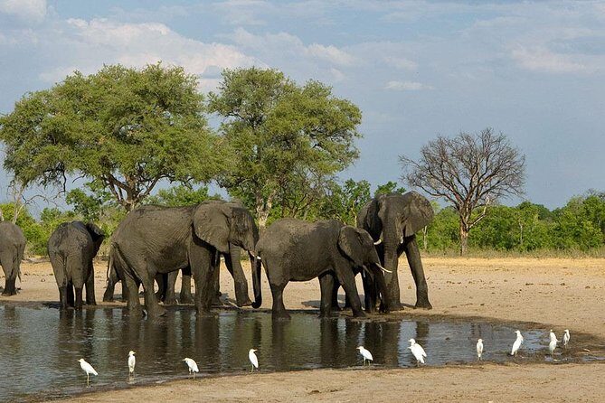 Hwange National Park 3 Days Package - The Accommodation and Guides