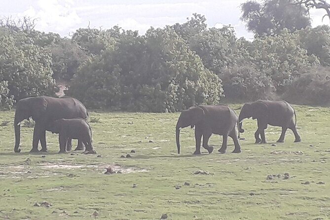 Hwange National Park 3 Days Package - FAQs