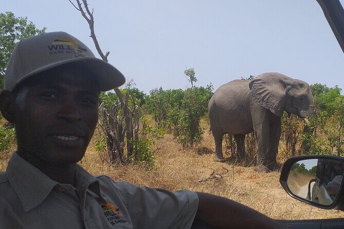 Hwange National Park Full Day Trip - Practical Details and Tips