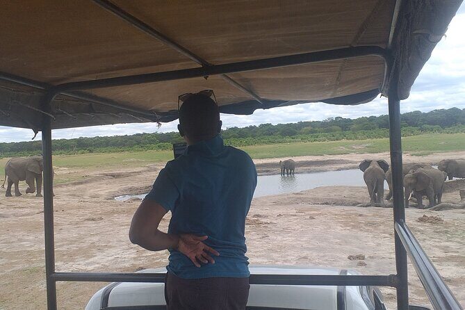 Hwange National Park Full Day Trip - The Sum Up