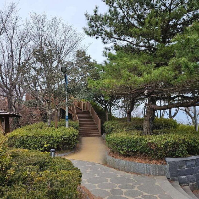 hwangnyeongsan-observatory-night-view-tour-a-representative-night-view-driving-course-in-busan