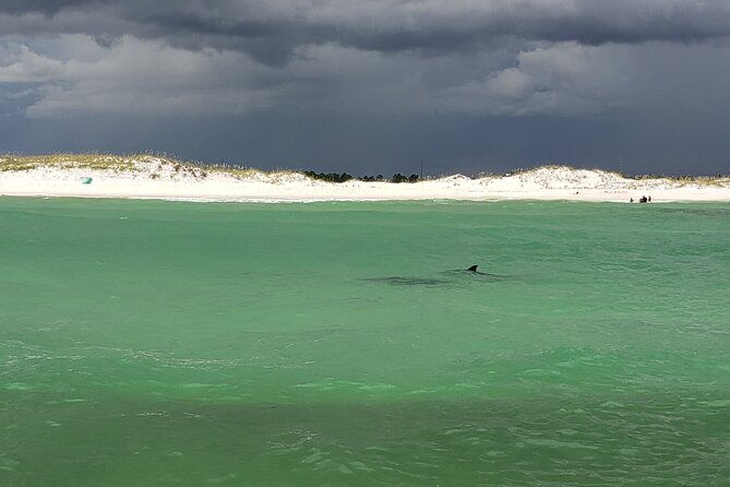 hydro-rocket-dolphin-sightseeing-boat-tour-from-destin