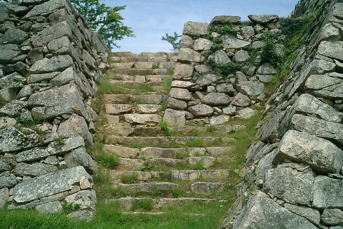 Hyogo: Takeda Castle Castle in the Sky Mountain Hiking Tour - Practical Details and Value