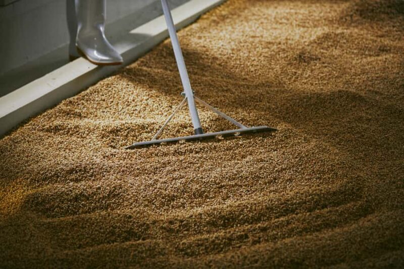 Ibaraki: Kiuchi Brewery Sake or Whisky Tour and Tasting - Frequently Asked Questions