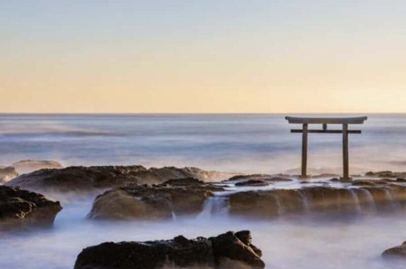 Ibaraki: Private Customizable Tour with a Local Guide - Why Choose This Tour?