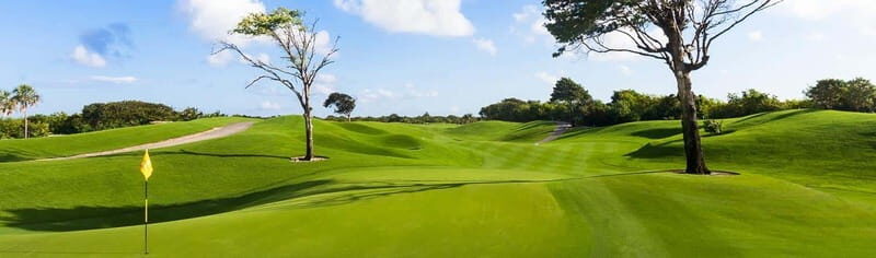 Iberostar Playa Paraiso Golf Club | Tee time Riviera Maya - An In-Depth Look at Iberostar Playa Paraiso Golf Club
