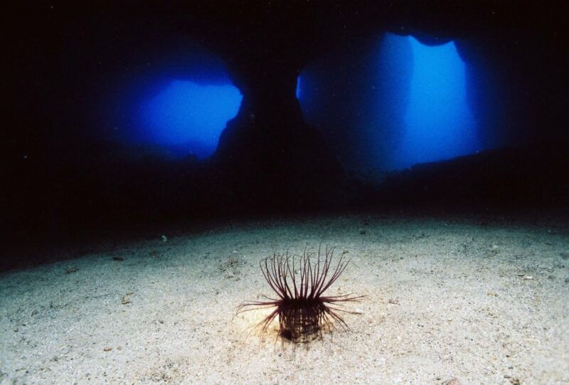 ibiza-3-5-day-padi-open-water-dive-course