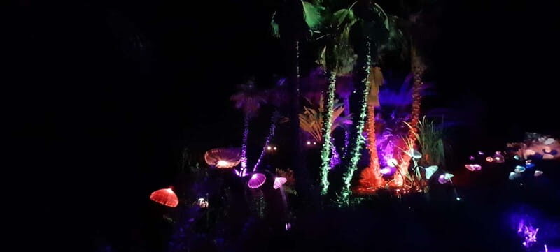IBIZA: Astro Magic Lights at Bibo Park - Key Points