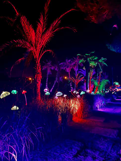 IBIZA: Astro Magic Lights at Bibo Park - The Value of the Experience