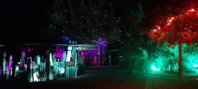 IBIZA: Astro Magic Lights at Bibo Park - Final Thoughts: Why You Should Consider This Experience