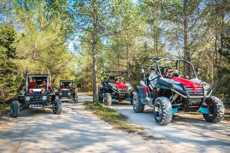 Ibiza: Buggy Excursion to Explore Beaches and Unique Views - Who Would Love This Tour?